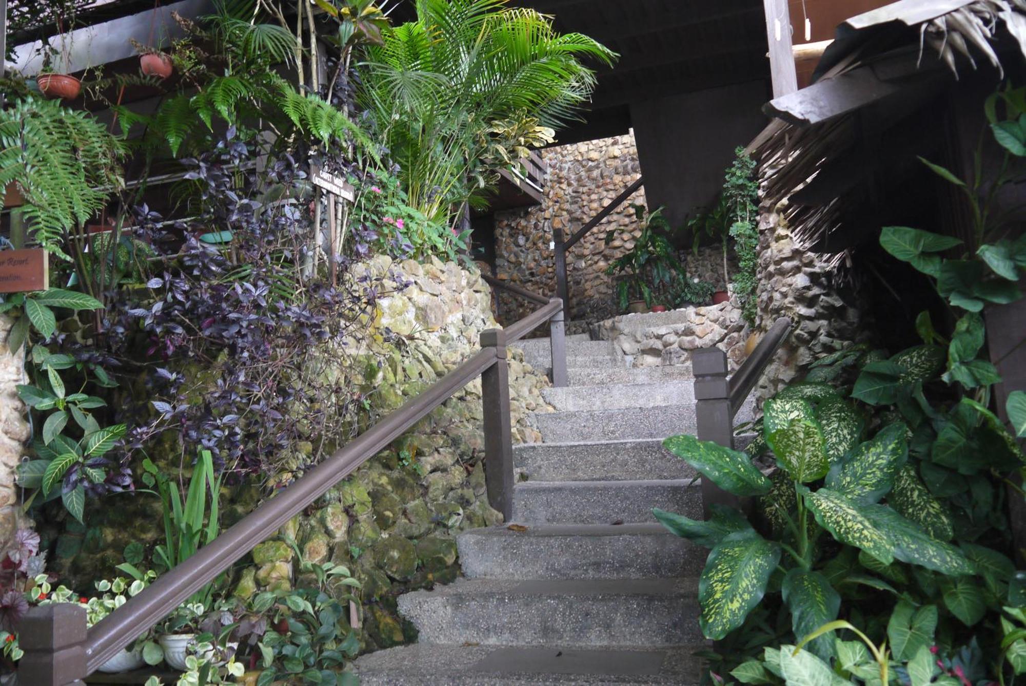 Kasih Sayang Hill Resort Kota Kinabalu Kültér fotó